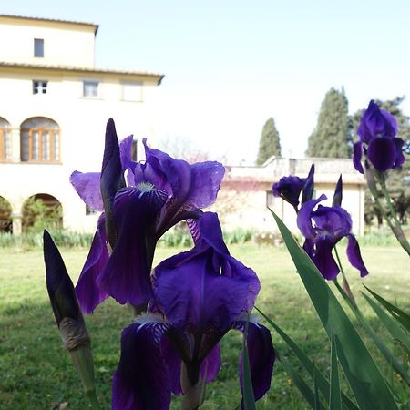 Bella Di Ceciliano Bed and Breakfast Arezzo Exteriör bild