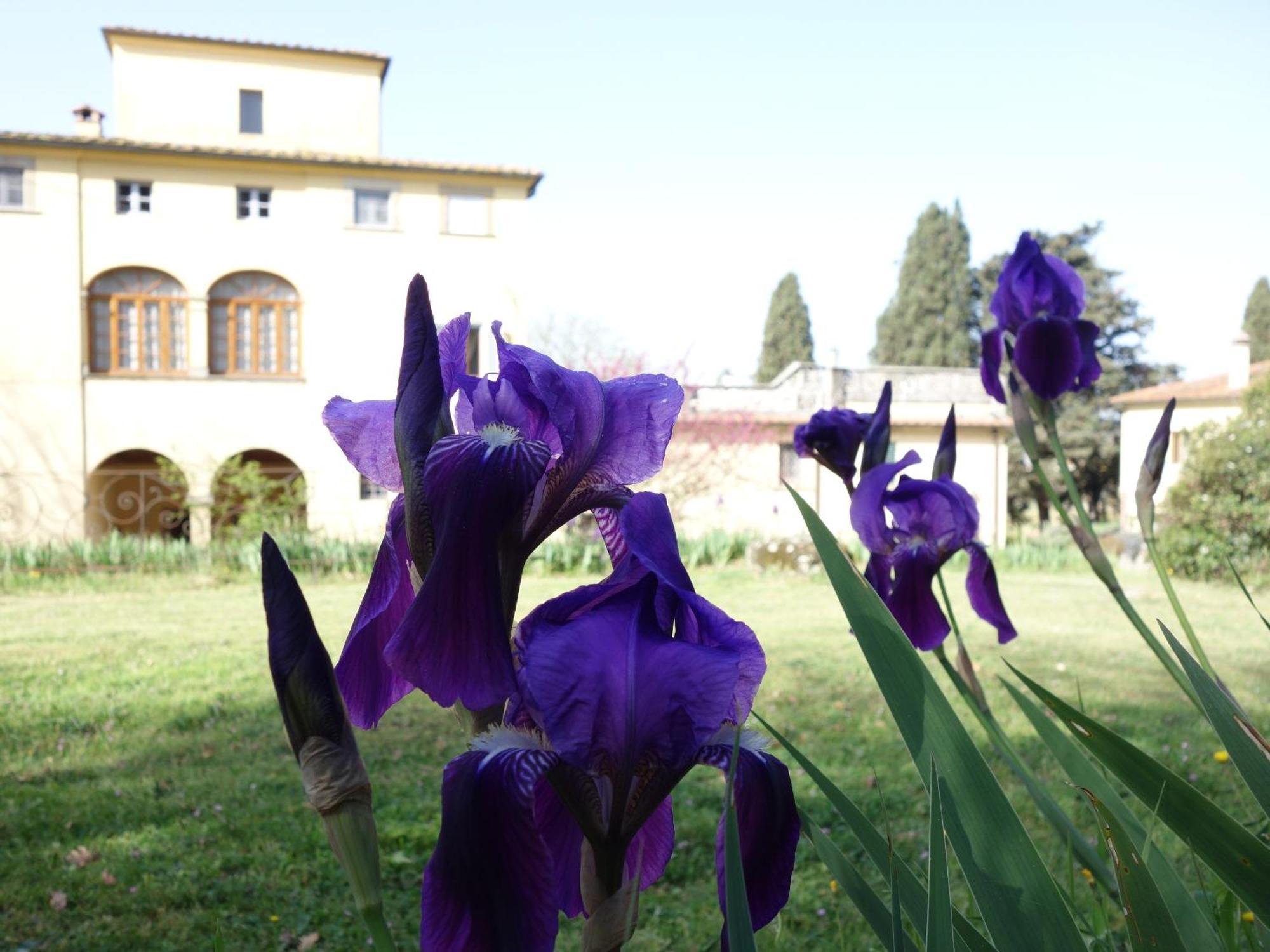 Bella Di Ceciliano Bed and Breakfast Arezzo Exteriör bild