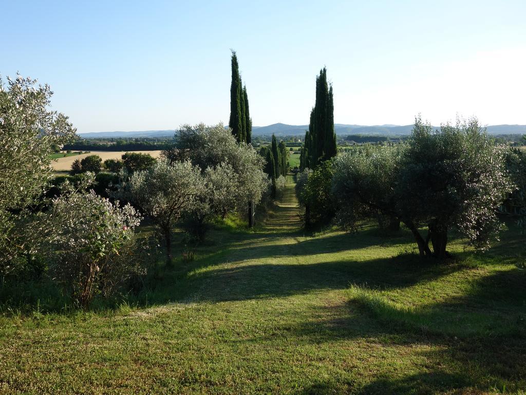 Bella Di Ceciliano Bed and Breakfast Arezzo Exteriör bild